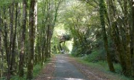 Voie verte proche de la  location saisonnière de la Boetie du Ponchet à Veyrignac, Dordogne